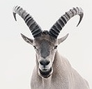54255D6D-1752-41A0-9398-A63F0FA68606.jpeg