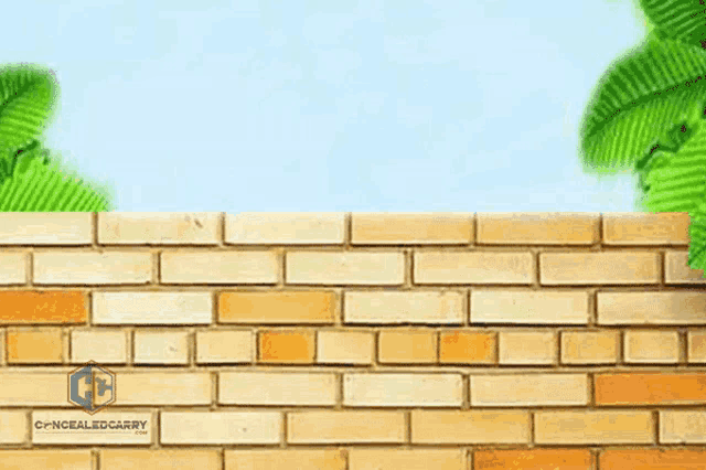 54399725-7AE9-4CE3-AA52-3349D1FE92D0.gif