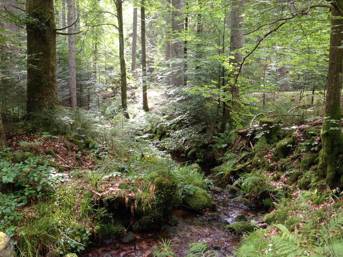 55392d588014f.image.jpg
