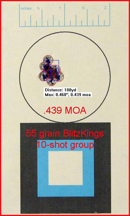 55_grain_blitzkings_10_shot_group_at_100-.jpg