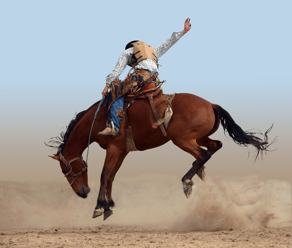 55CB0909-3BE4-4028-B3F0-359C98B7787D.png