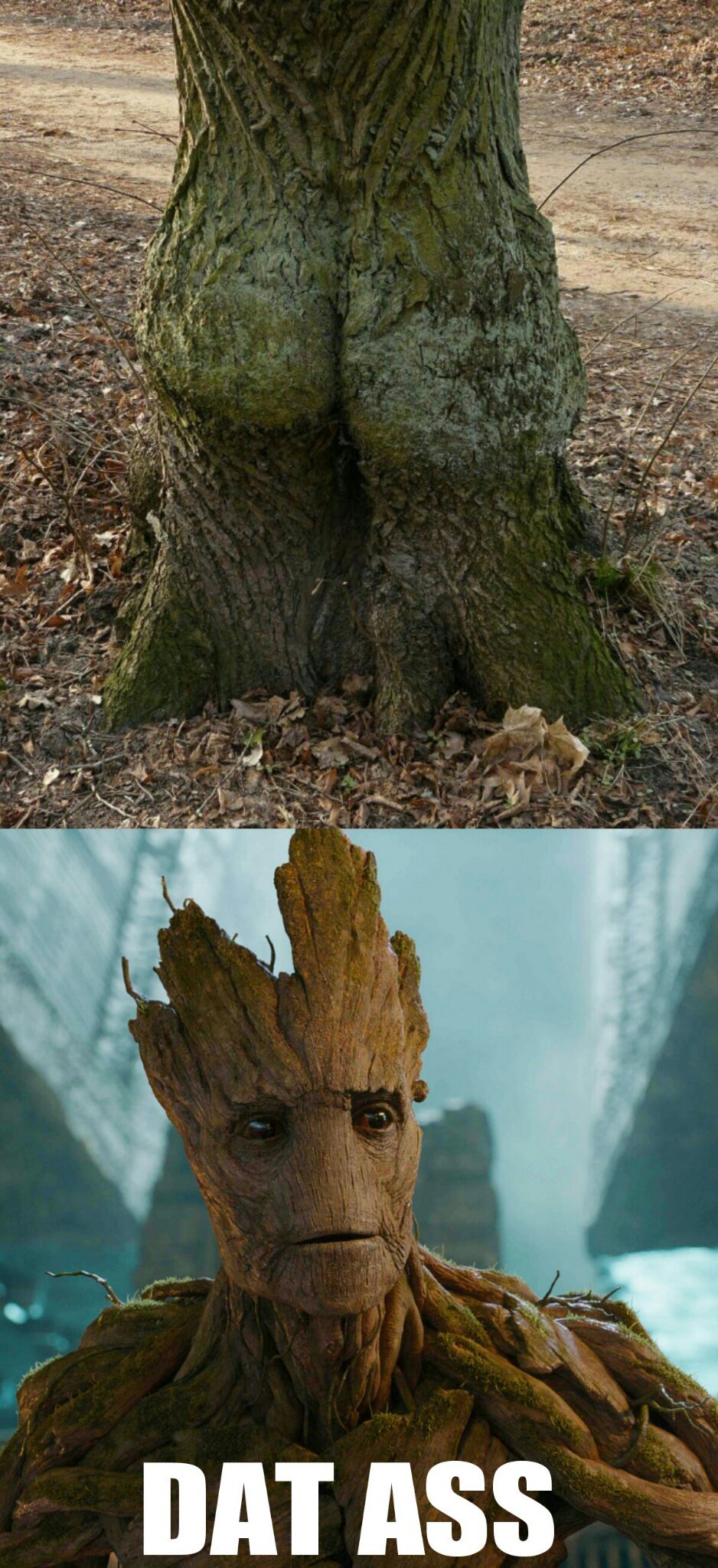55ec37327325f.jpeg