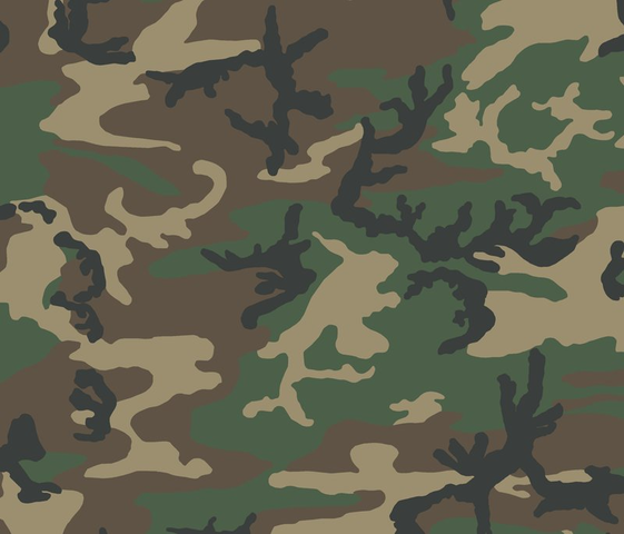 561px-_M81__U.S._woodland_camouflage_pattern_swatch.png
