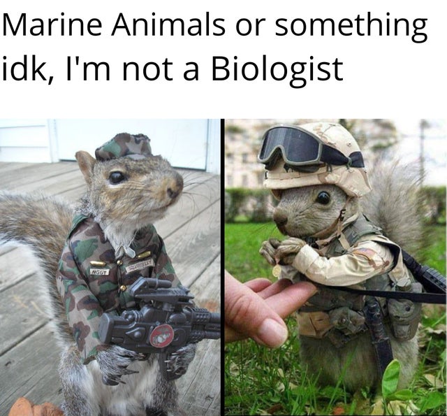 567B686E-2E96-4685-9441-EA096FBC0E18.jpeg