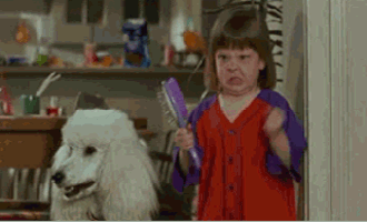 56BB4002-23D0-4265-8002-B99C1727FF73.gif