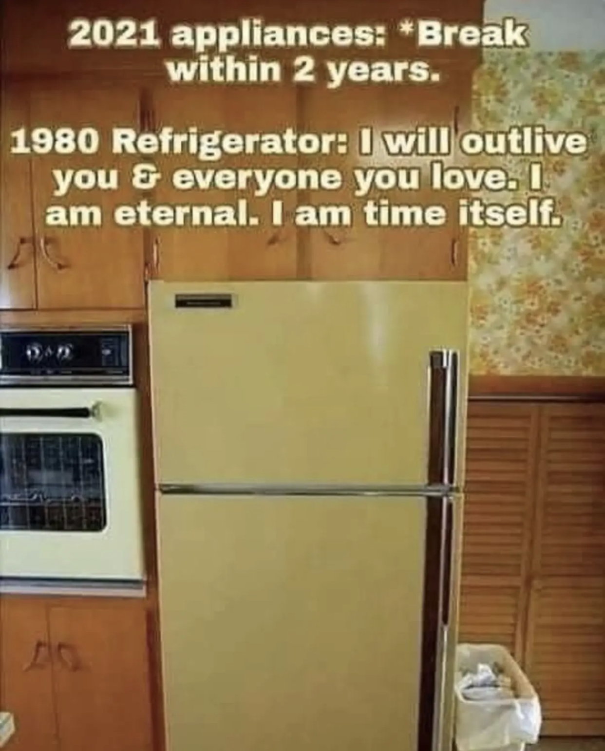 56D6A0B0-F699-4ED3-B3D4-A1C6705B996A.jpeg