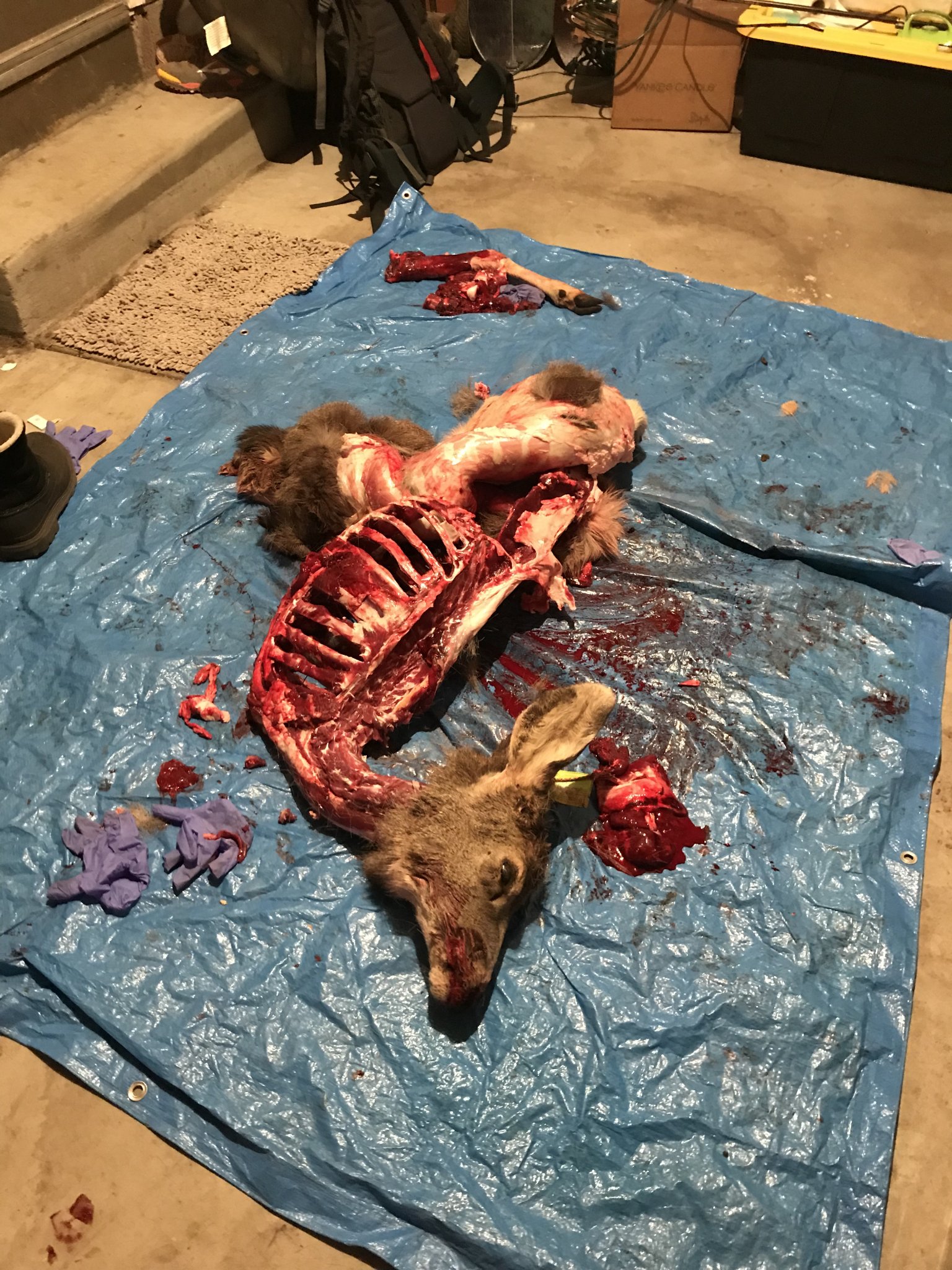 57F66EA9-F22E-4255-922E-F9D80BC5A4D6.jpeg