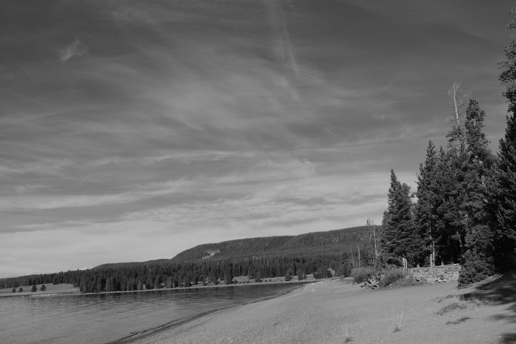 588215F1-C40A-415A-86F0-7B5E1232AC6B.jpeg