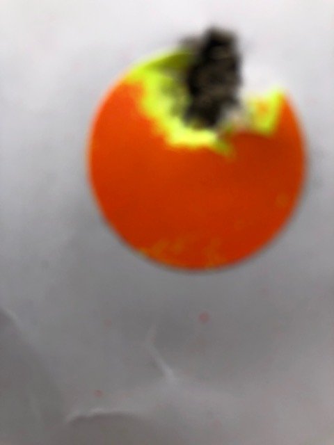 59786389826__E8B8914E-47F1-424B-8D23-C2C5098773B1.JPG