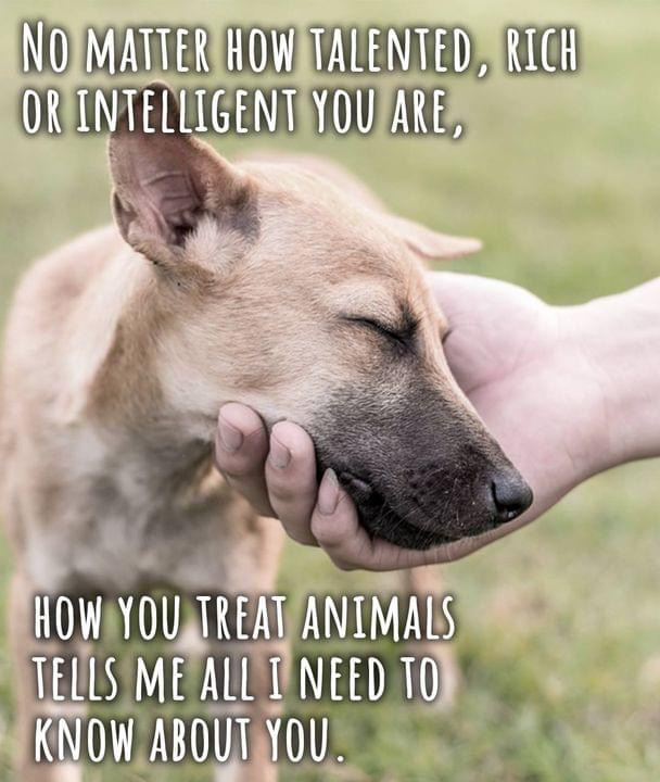59D1AAF1-318E-4314-BDAC-42EA7E9ECDBF.png