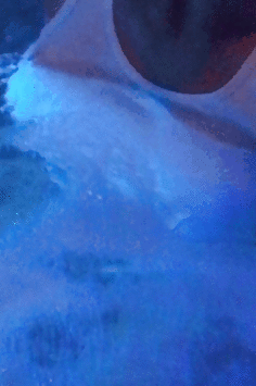 59fe877ecd1ea.gif