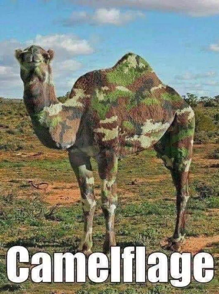 5A0146C7-F4B9-45F8-B08E-60C2F1EBDF45.jpeg