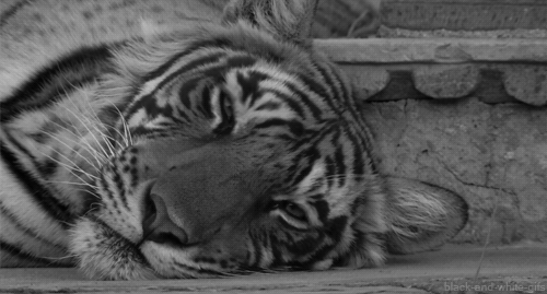 5ACCE672-C33E-4094-92AD-5A7AAA6BABF1.gif