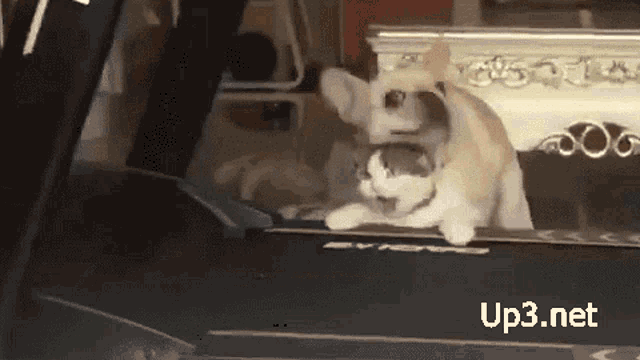 5AEC550A-BD3B-4A42-97C7-EFA4D504B66E.gif
