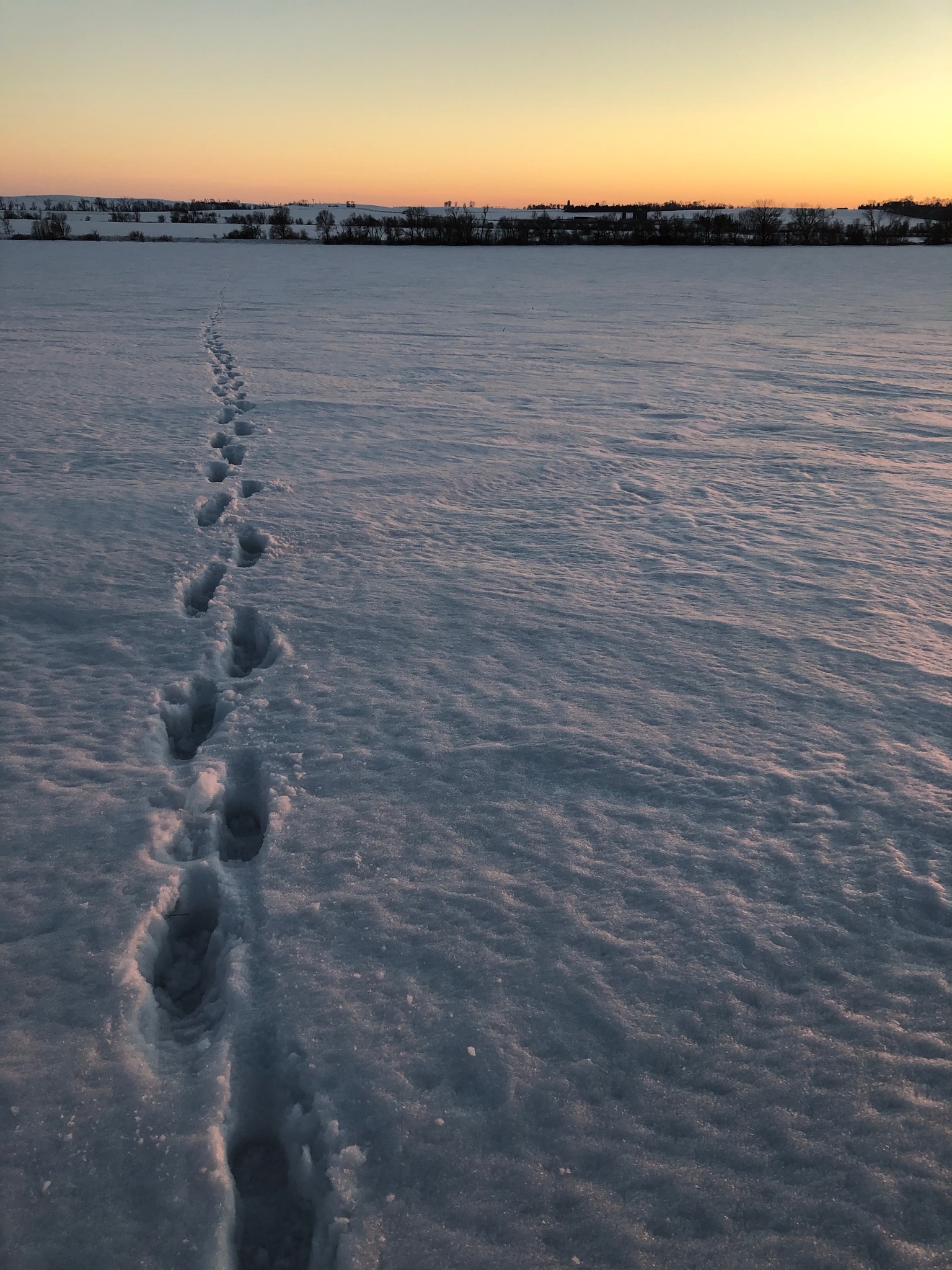 5C370A8E-8003-4B08-9C2B-801D952909F3.jpeg