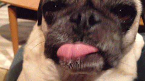 5C473523-12A1-45EF-9663-77AF5F5FC0A5.gif