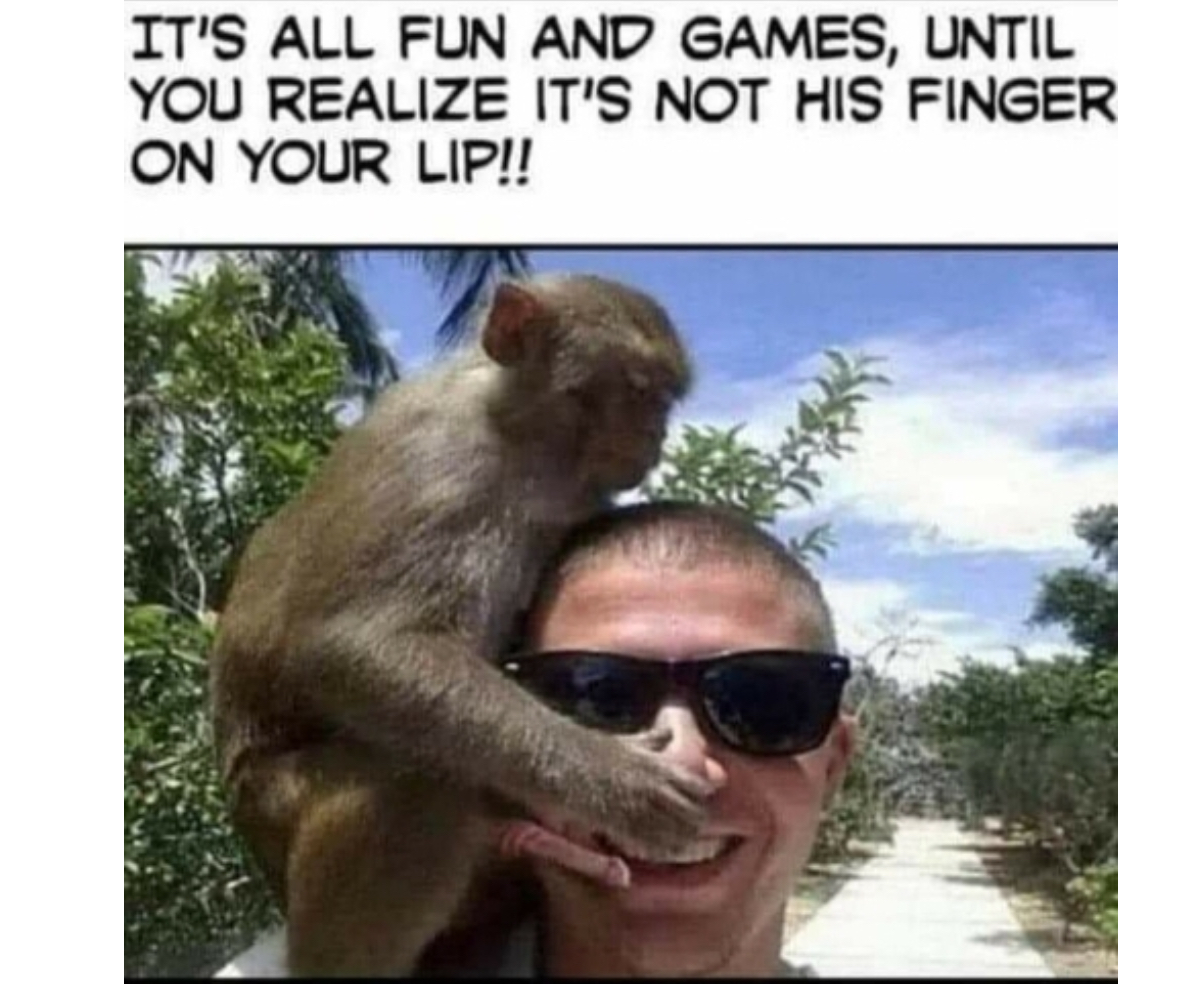 5C818E5B-0305-4D63-951F-94078366B150.jpeg