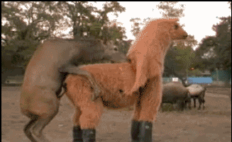 5CD85706-5ABE-47B5-89A7-104CE55AC388.gif
