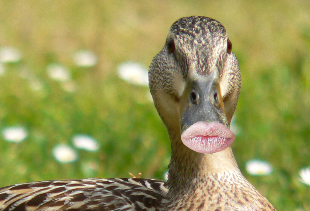 5D1F9656-027C-42D5-A0FA-745AA005A2CA.png