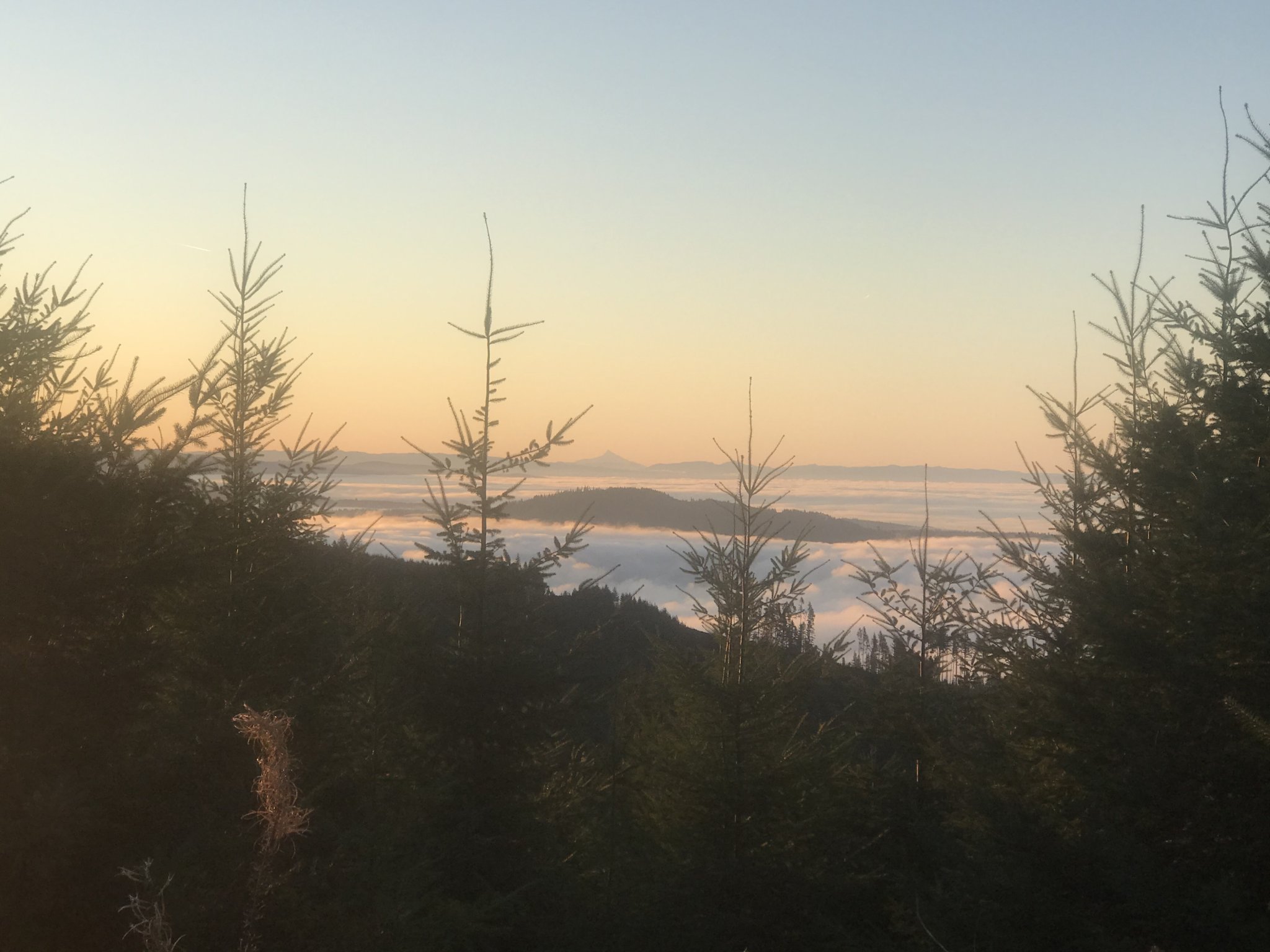 5D277A76-AEA2-4016-A12B-BD18743C9B63.jpeg