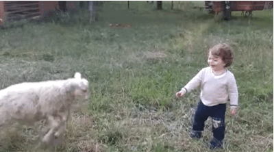 5D27E11C-579C-4440-80AB-280E7E7782FC.gif