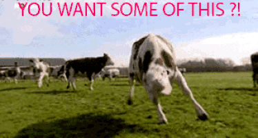 5D777E92-790C-4D5A-85D0-E56CD6F1908C.gif