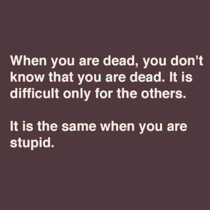 5d8d260b417f7a86fa9ac5963999b76f--so-funny-funny-stuff.jpg