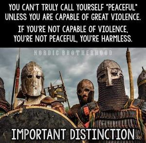 5ddfd21f-54f7-4548-8983-552ebb3b3b6a.jpg