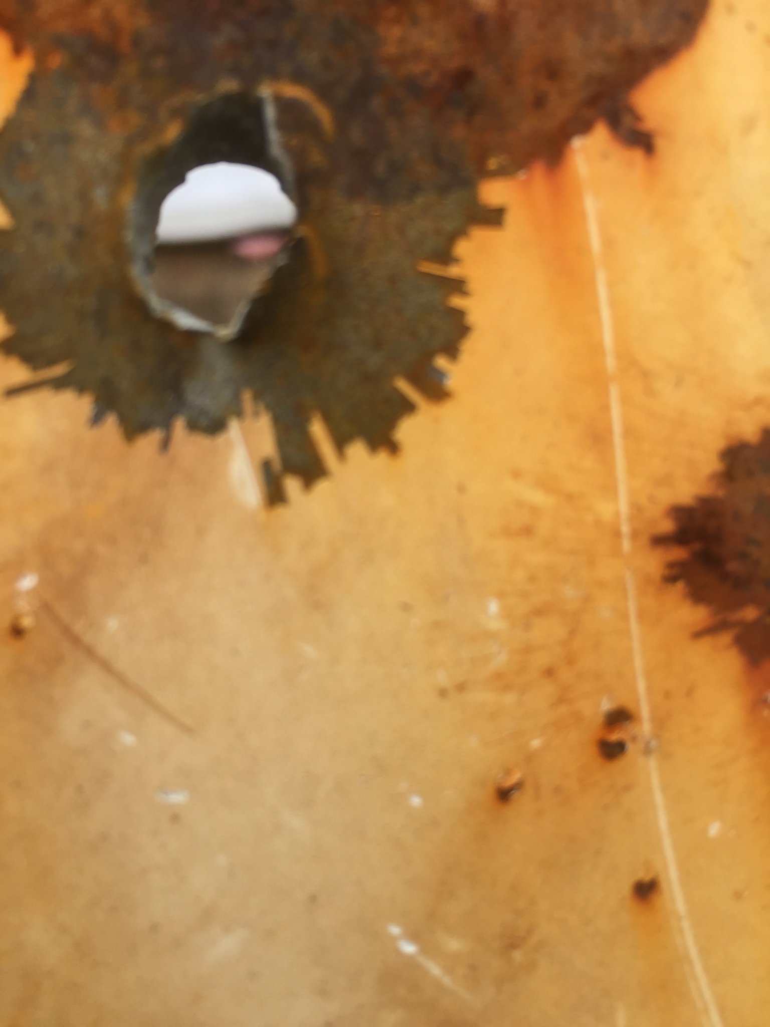 5EB98971-F322-493C-842B-07214B9E26B3.jpeg