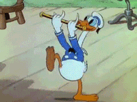 5EB9B5A9-7F9A-46DE-8ACA-D49298901359.gif