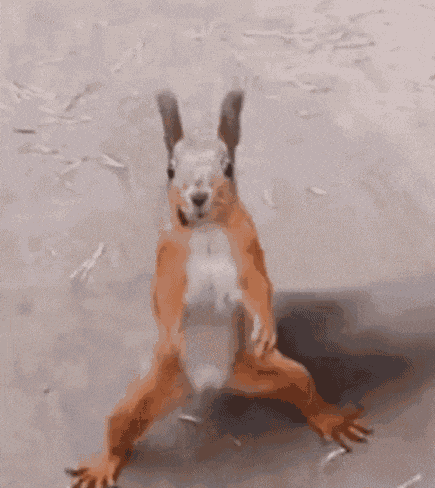 5ee04df0e97f2113319279.gif