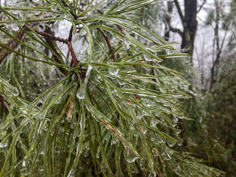 5F41A5EF-DEC5-4451-9376-3B93E05200E7.jpeg