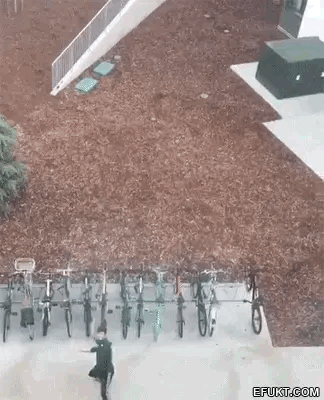 5FFF6279-B3B5-4366-86F7-22F322C03E83.gif