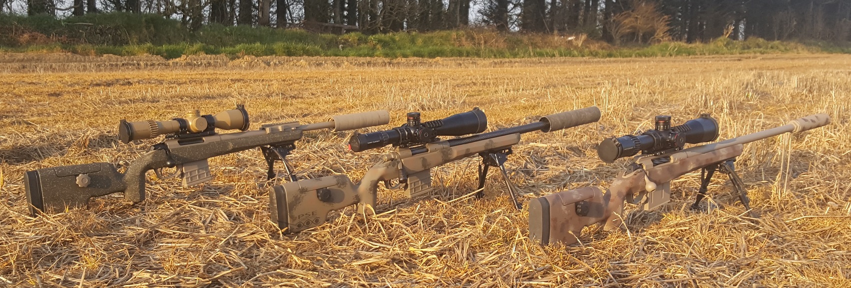 6.5 308 300wm 2.jpg
