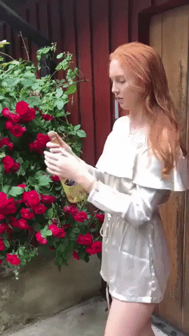 600BB840-7E31-4326-BD2F-03C3D03B854B.gif