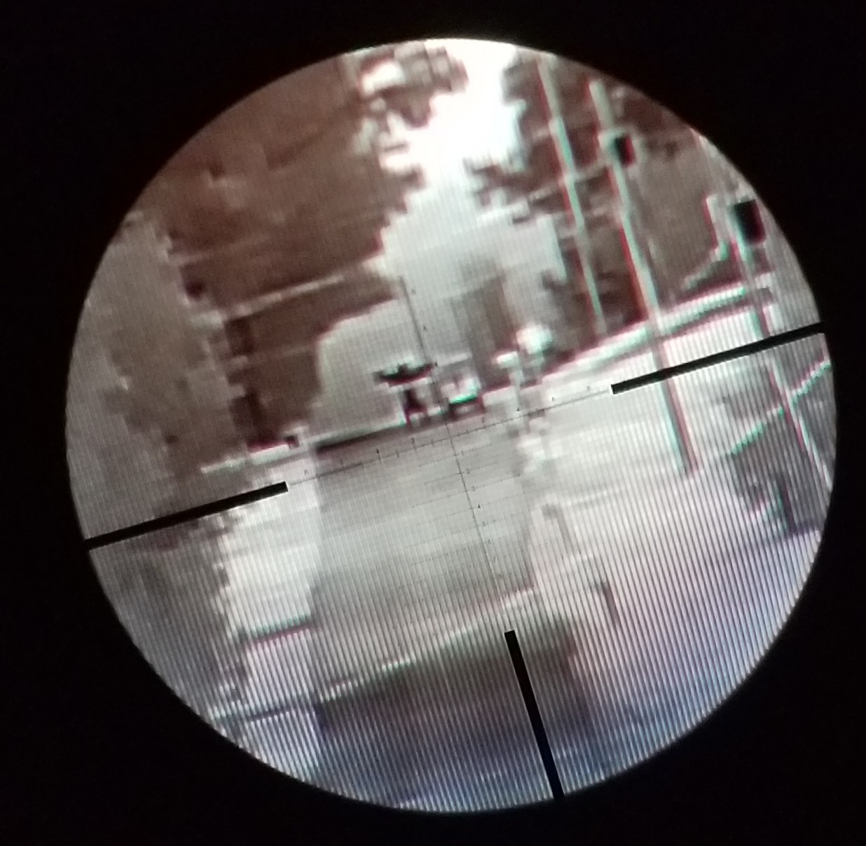 600yd 10x.jpg