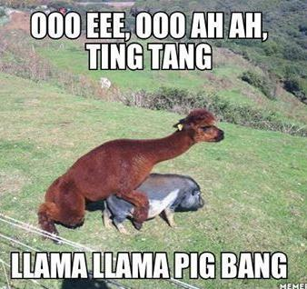 6026C35F-988A-4B64-84E1-E89AEBEAAEAA.png