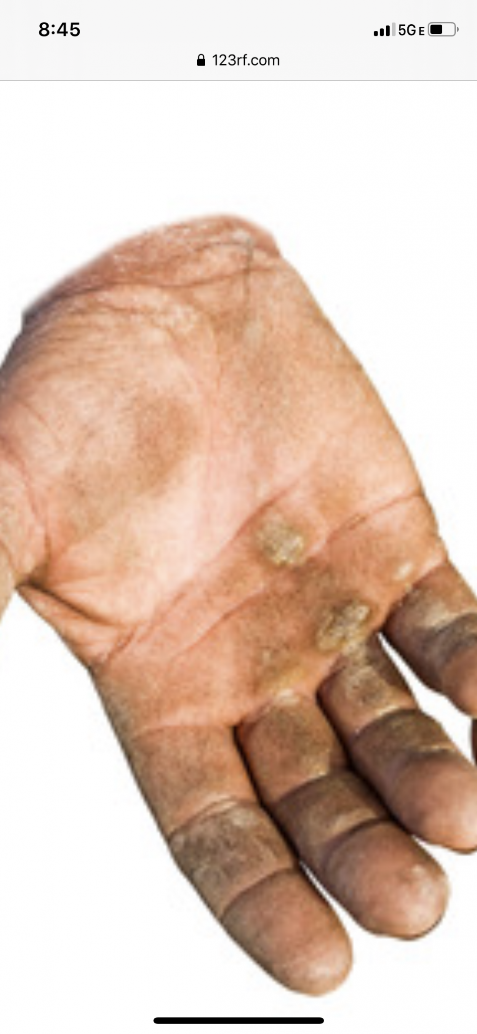 61F9E923-E025-4423-AF91-728D36BA0555.png