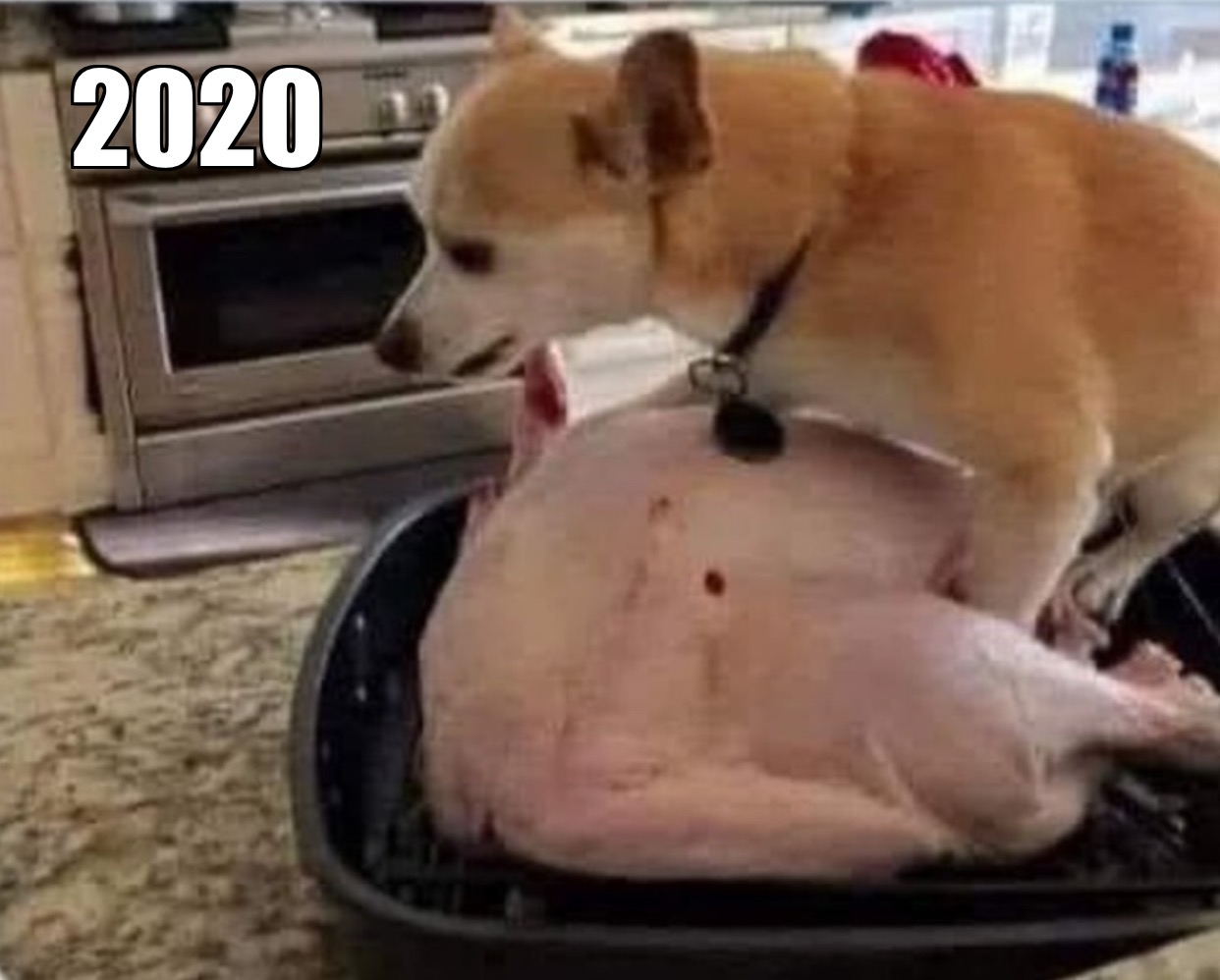 6261c73e-ca52-451b-ab3e-b971af09ccab-jpeg.7481564