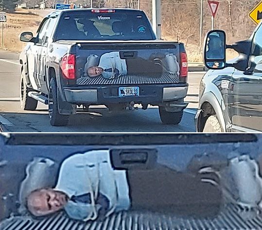 6293851_original.jpg