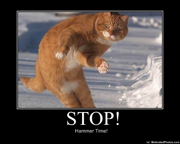 633587362793706495-Stop.jpg
