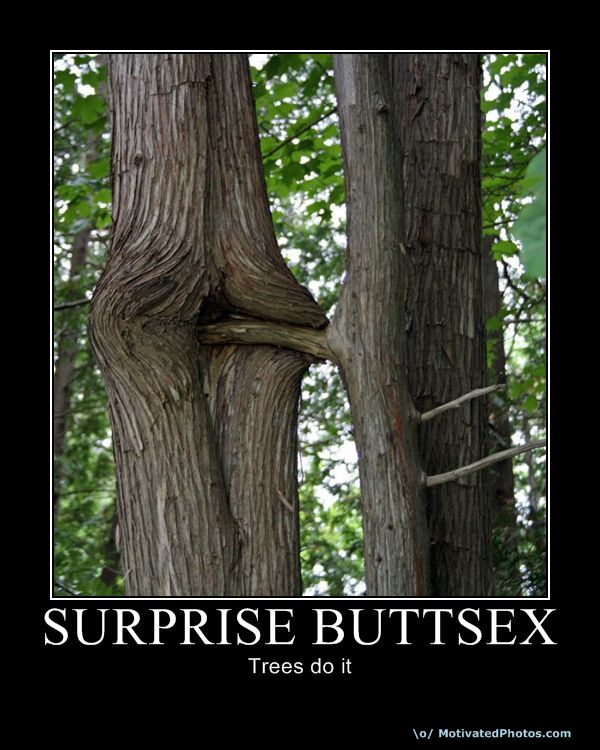 633760540911149920-surprisebuttsex.jpg
