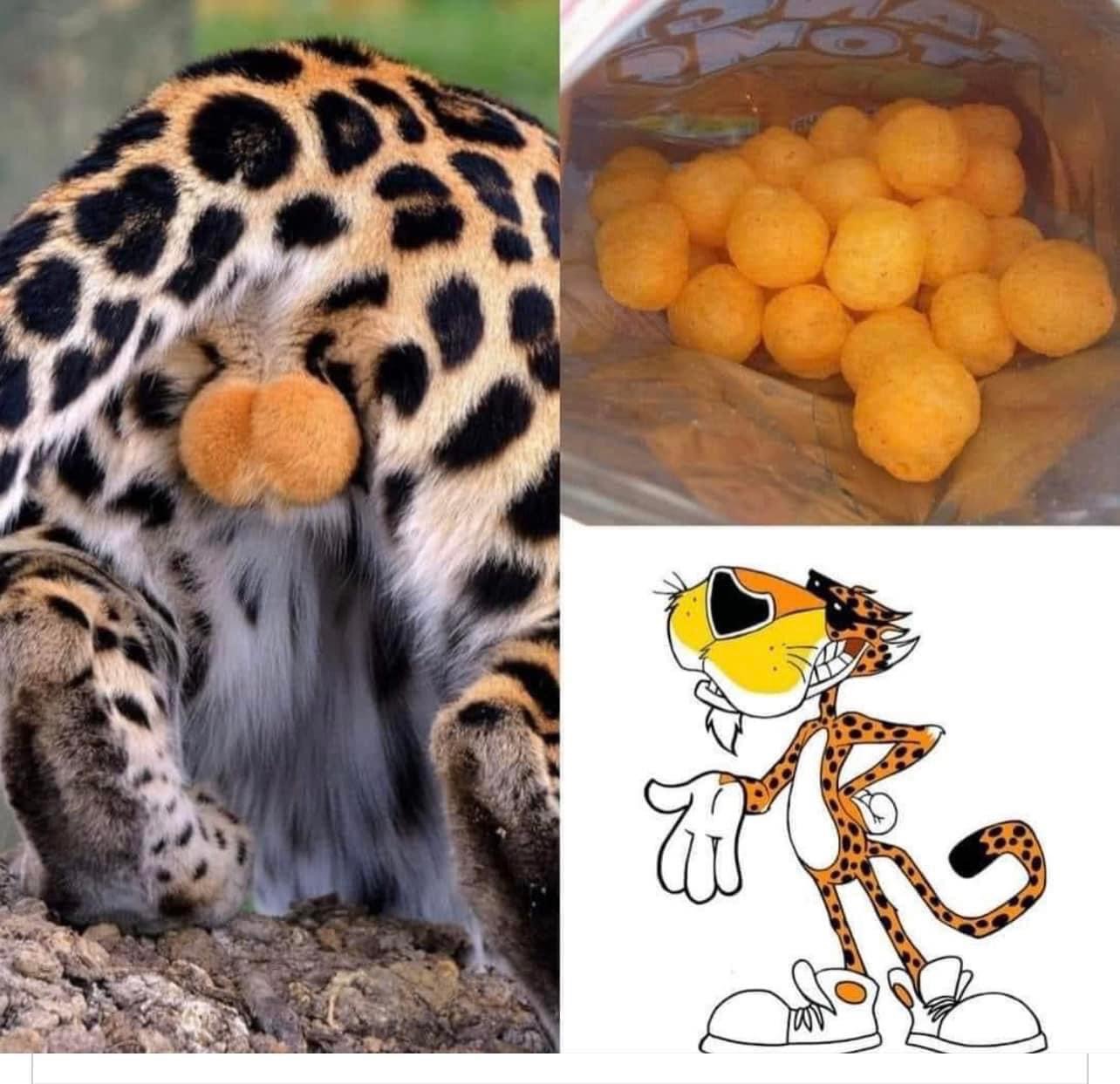 6350E6F3-5BF5-4C4D-8F6B-5A6FFC4FF009.jpeg