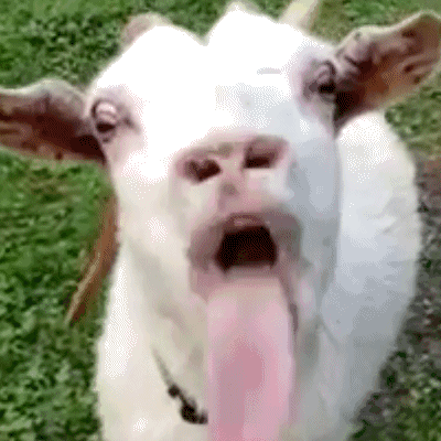 639EB65E-B5B0-443A-A57C-F9C63FBA3E92.gif