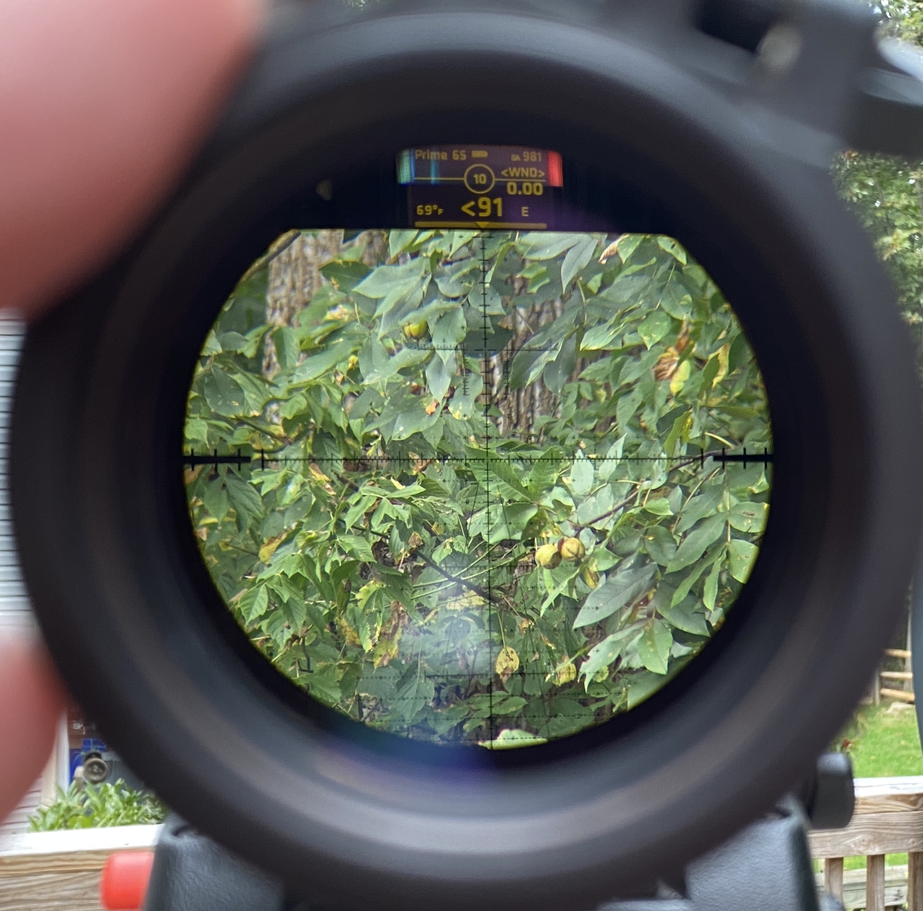 63D88932-A30B-471C-9057-CC0756E83E62.jpeg