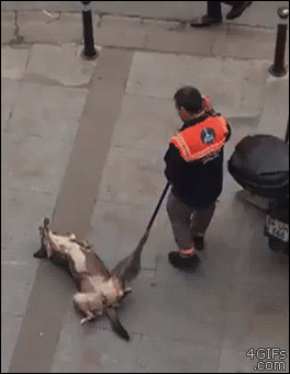 6401D8A4-C6F4-43A1-9599-DE507EF5D6E4.gif