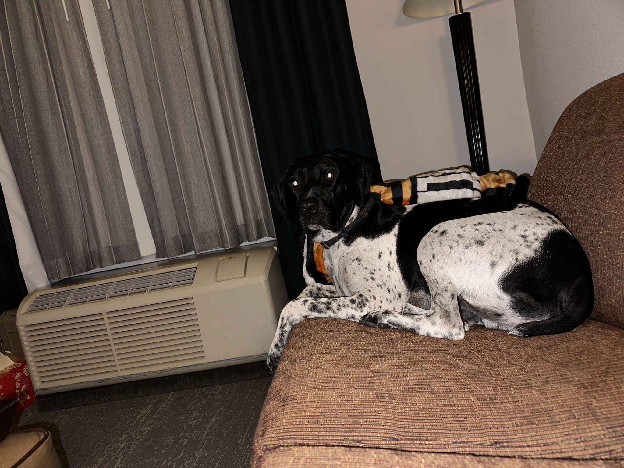 6403BDA9-AA3E-48F2-96C0-7379795BC578.jpeg