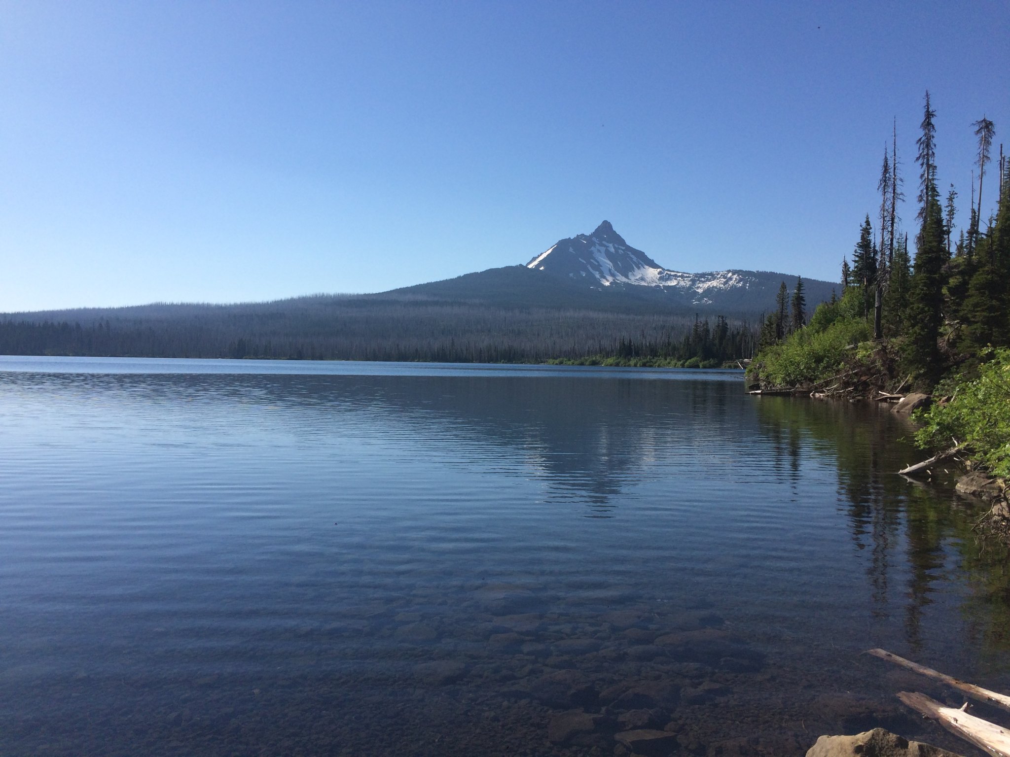 64615562029__7EDB7721-BC35-42CB-96BE-9353583FD345.JPG