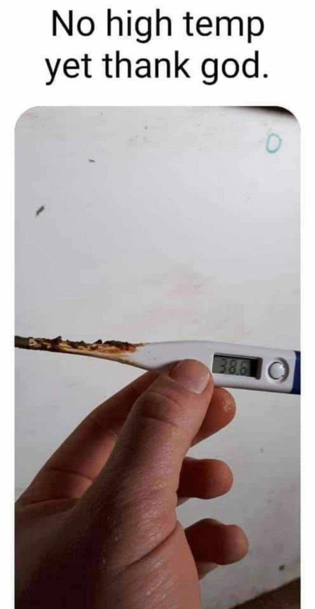64811.jpeg