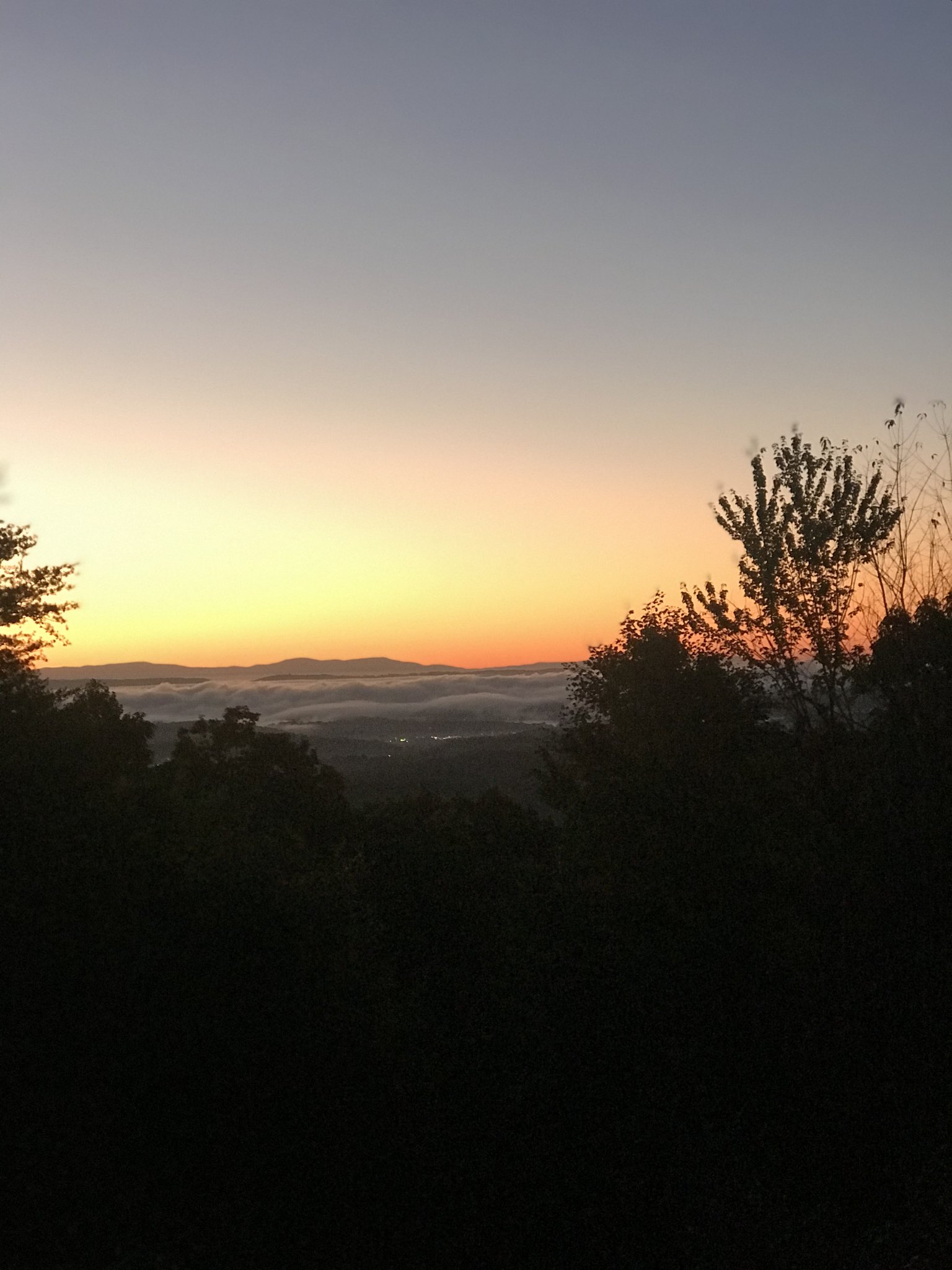 6533D238-5B00-495F-BD06-B85EB7C574DD.jpeg